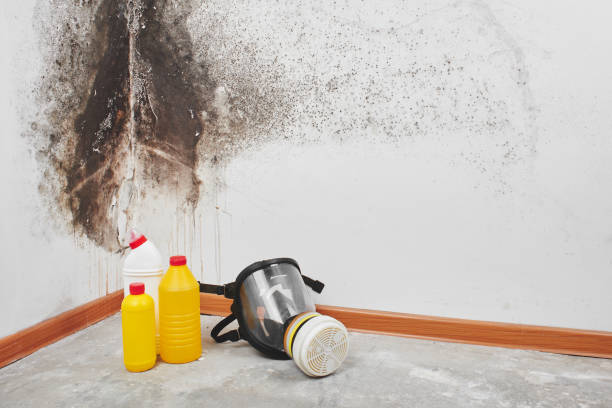 Best Mold Testing and Inspection Services in Nowata, OK