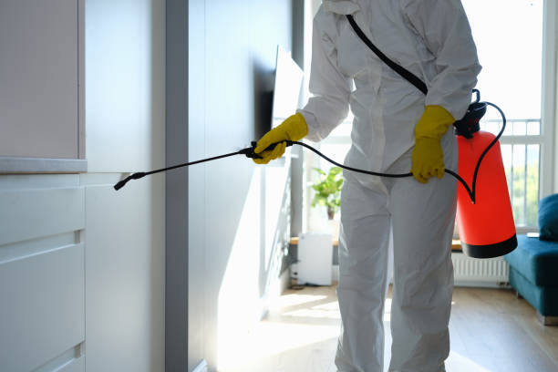 Best Attic Mold Remediation in Nowata, OK