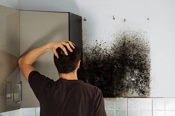Best Industrial Mold Remediation in Nowata, OK
