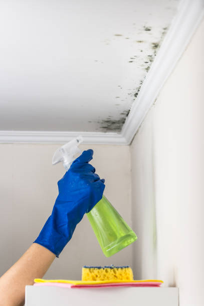 Best Bathroom Mold Remediation in Nowata, OK
